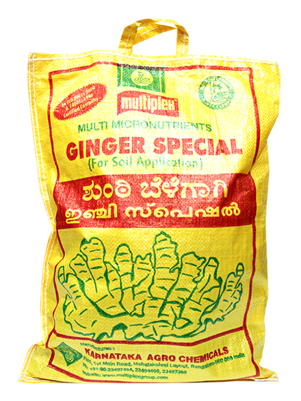 uploads/images/prod/Ginger Special.png